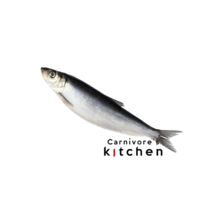 Real Raw Whole Herring
