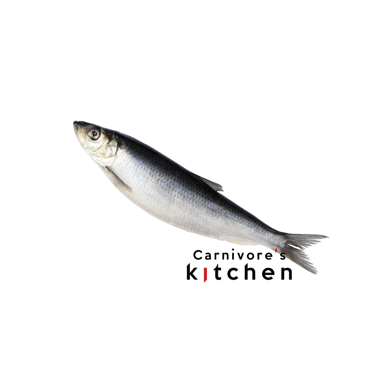 real raw whole herring Real Raw Whole Herring